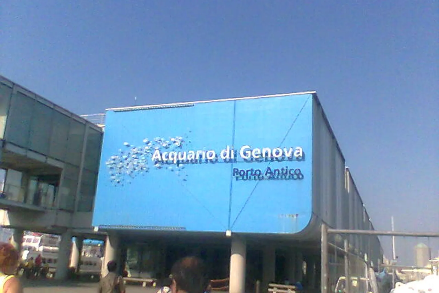 Aquarium of Genoa Tickets: When Is the Open Ticket Worth It?