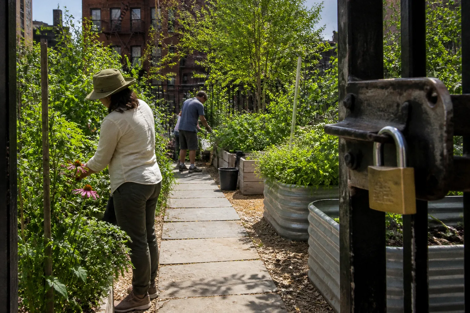 NYC Nonprofit Lobbying: Pre-Registration Checklist