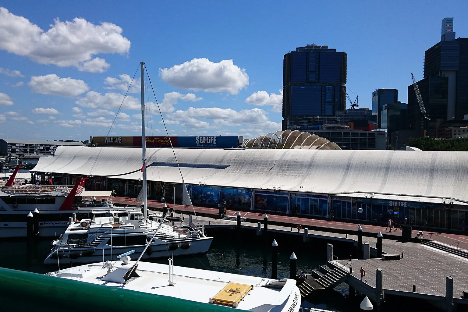 SEA LIFE Sydney Aquarium Tickets: From Booking to Entry Gate