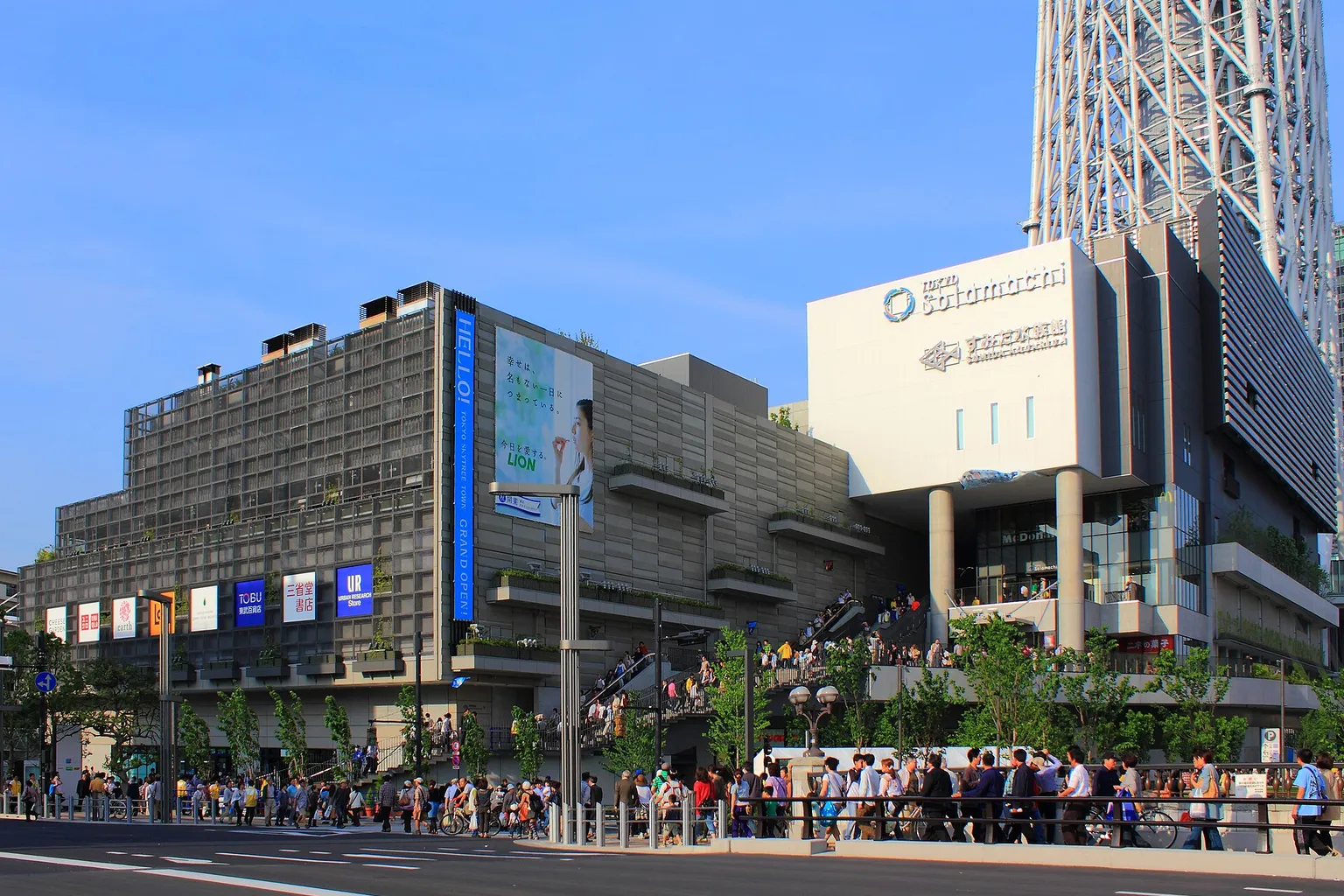 Sumida Aquarium Ticket Paths: Which Option Fits You?
