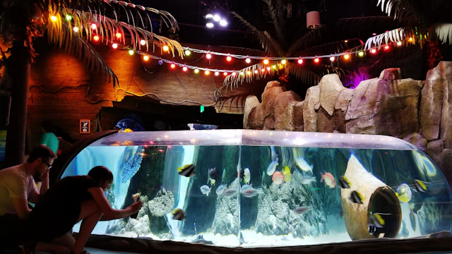 Sea Life Charlotte-Concord