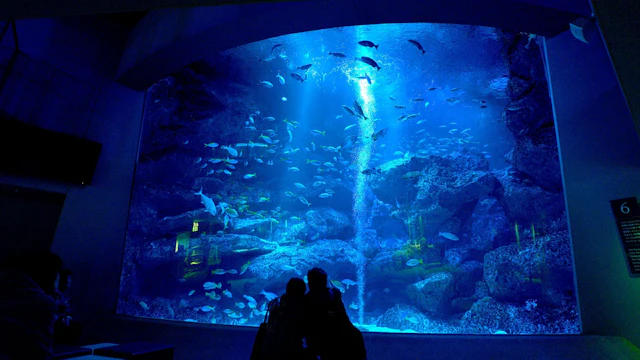 Sumida Aquarium