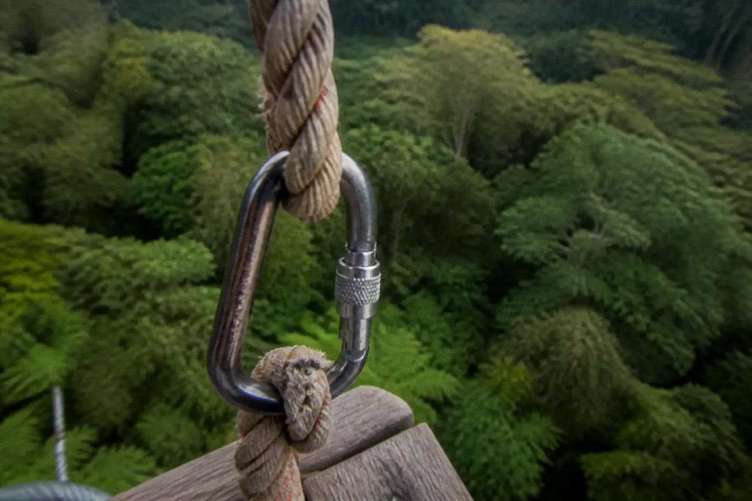 Treetops Adventure Coffs Harbour tickets: booking tips